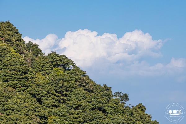 梧桐山