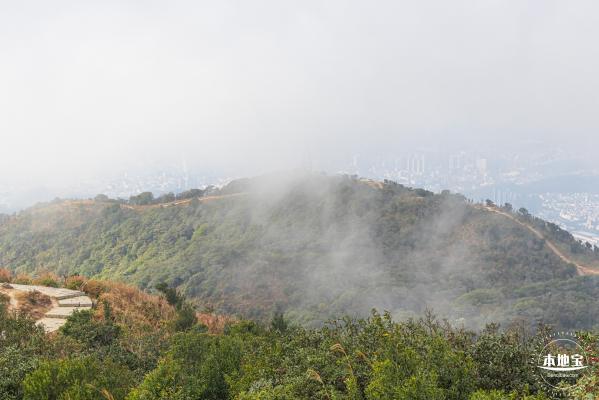 梧桐山