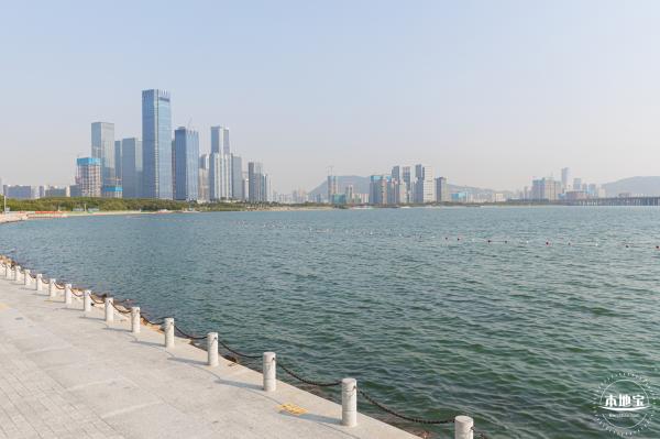 欢乐港湾马鞭草