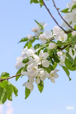 元大都遗址海棠花溪