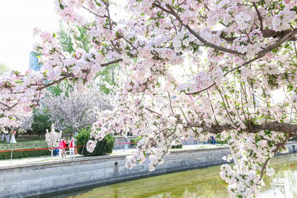 元大都遗址海棠花溪