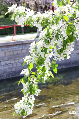 元大都遗址海棠花溪