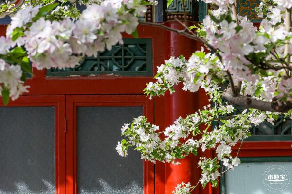 元大都遗址海棠花溪