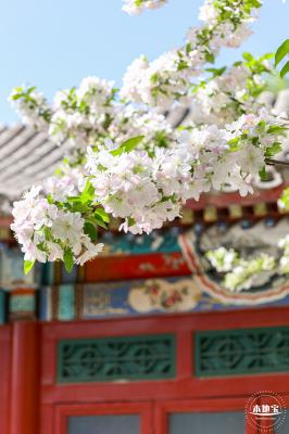 元大都遗址海棠花溪