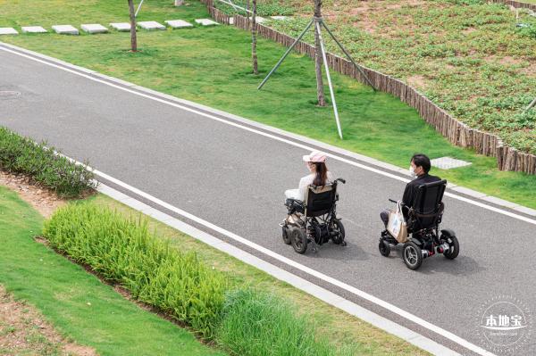 楼村湿地公园美人蕉