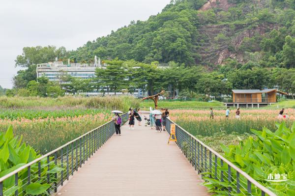 甘坑都市田园