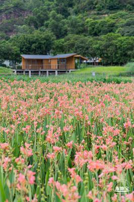 甘坑都市田园
