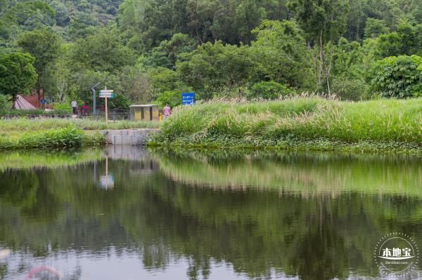 甘坑都市田园