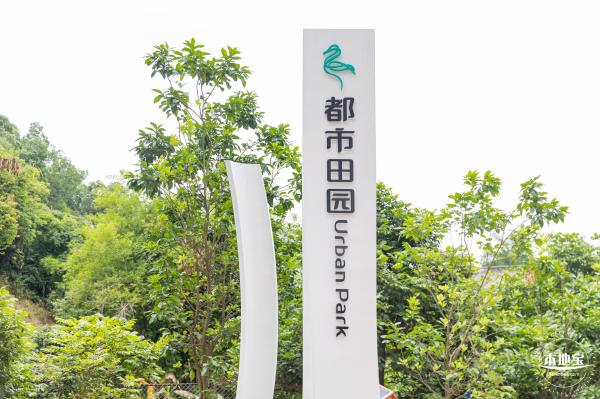 甘坑都市田园