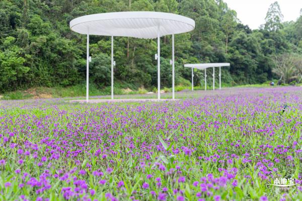 甘坑都市田园