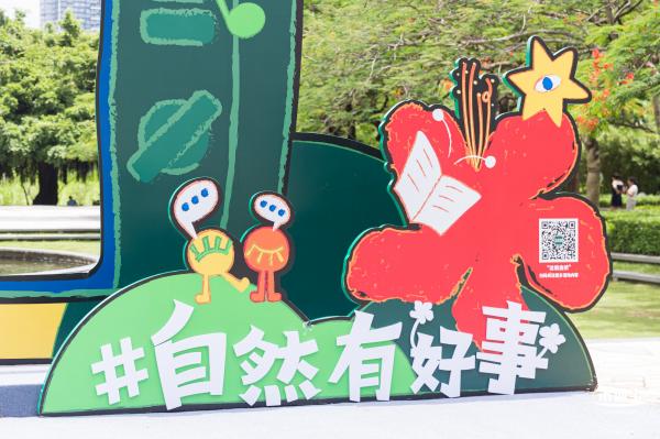 华侨城凤凰花开