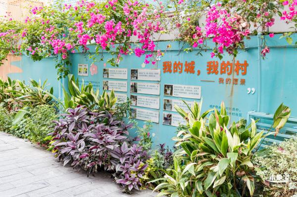 龙华社工街