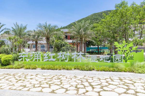 东涌红树林湿地园
