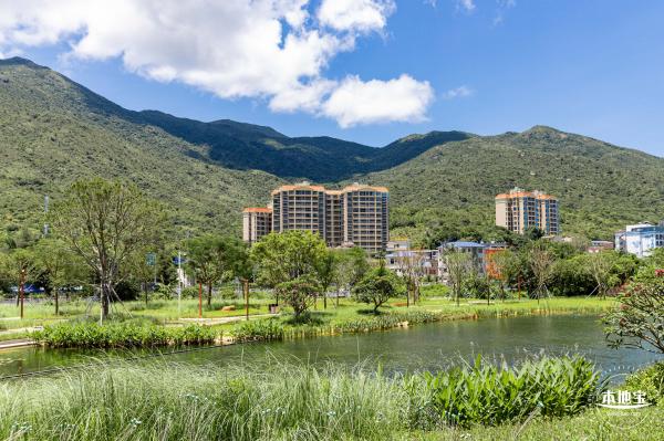 东涌红树林湿地园