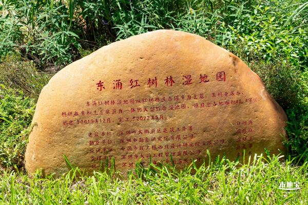 东涌红树林湿地园