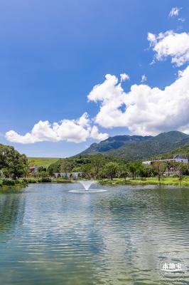 东涌红树林湿地园