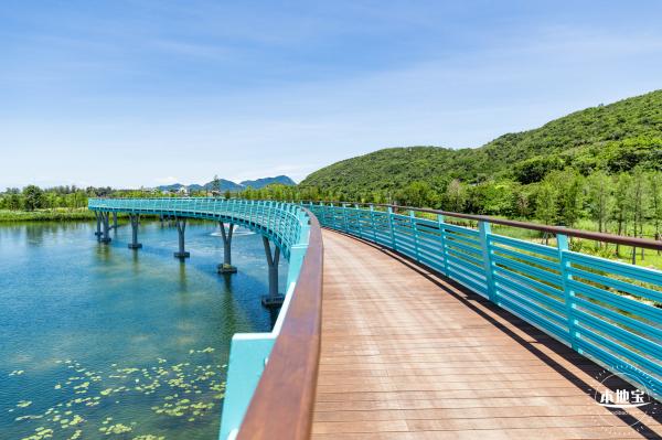 东涌红树林湿地园