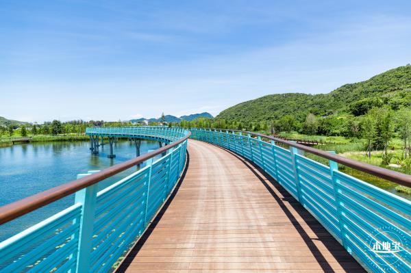 东涌红树林湿地园