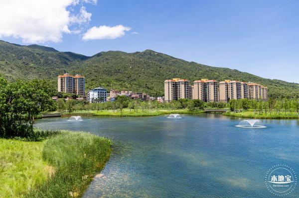 东涌红树林湿地园