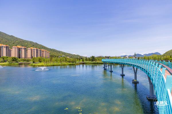 东涌红树林湿地园