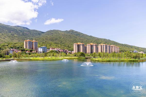 东涌红树林湿地园