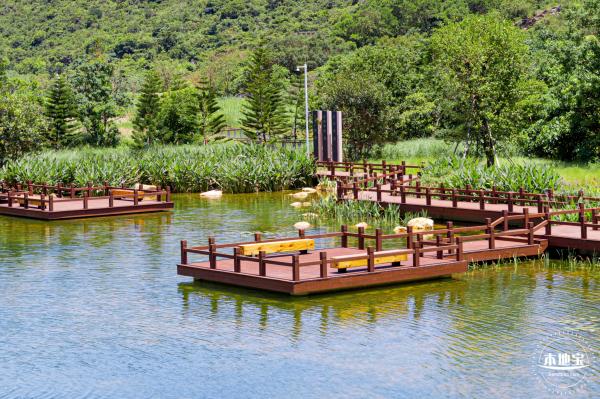 东涌红树林湿地园