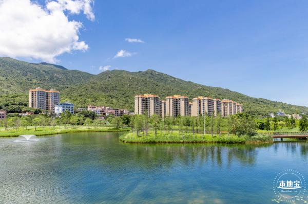东涌红树林湿地园