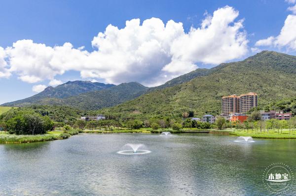东涌红树林湿地园
