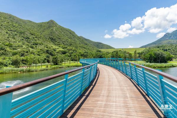 东涌红树林湿地园