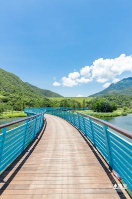 东涌红树林湿地园