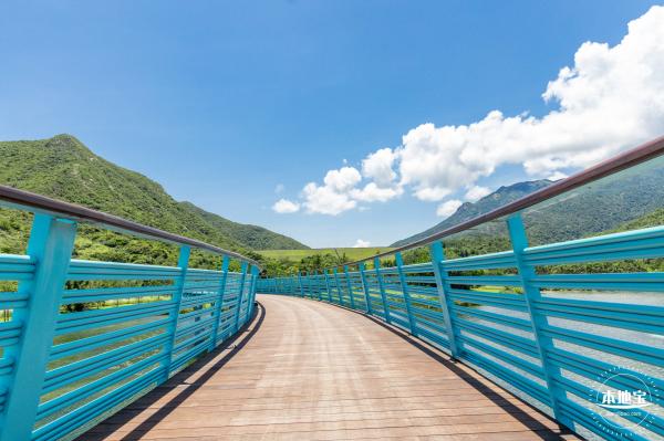 东涌红树林湿地园
