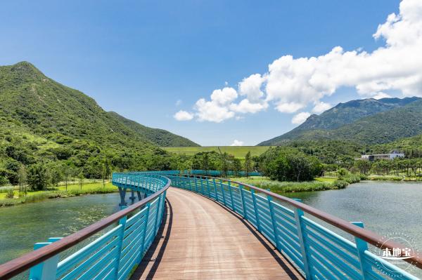 东涌红树林湿地园