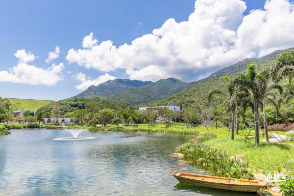 东涌红树林湿地园