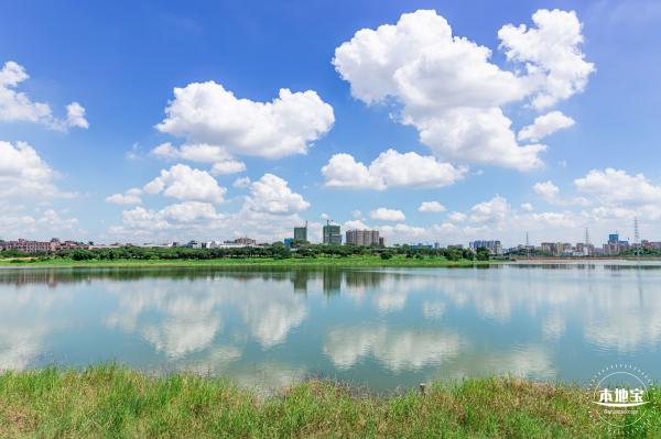 明湖城市公园