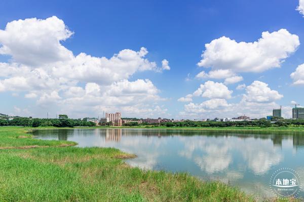 明湖城市公园