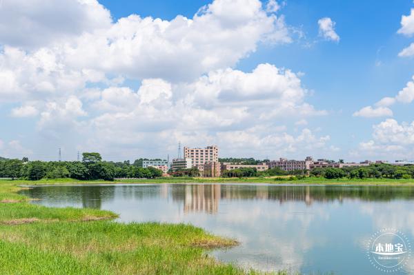 明湖城市公园