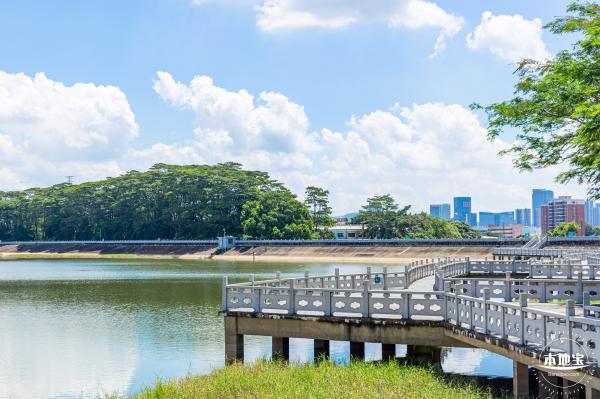 明湖城市公园