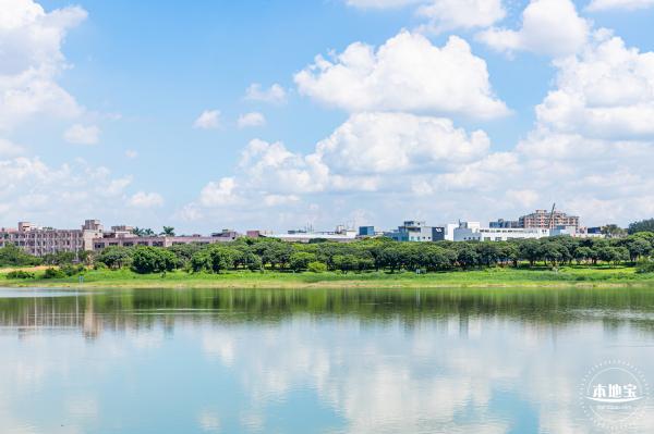 明湖城市公园