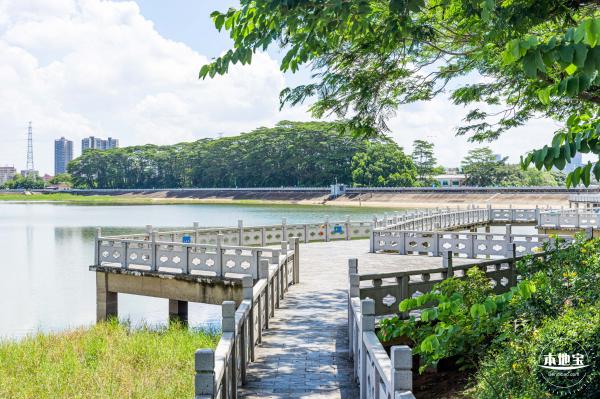 明湖城市公园