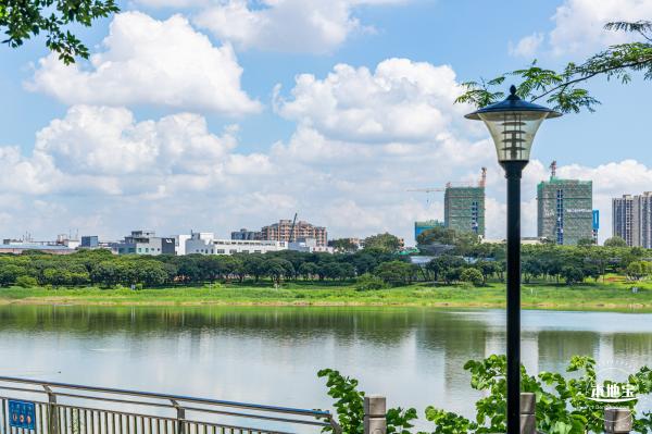 明湖城市公园