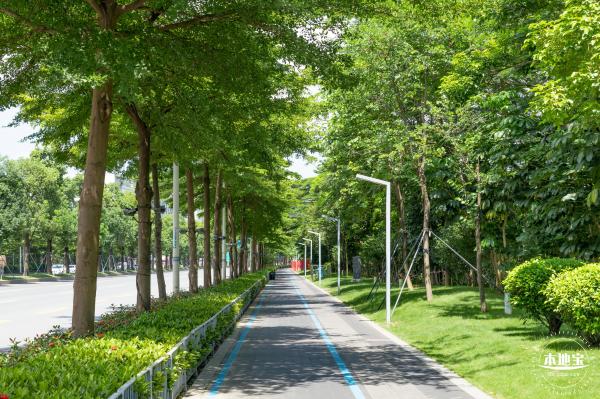 明湖城市公园