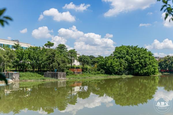 明湖城市公园