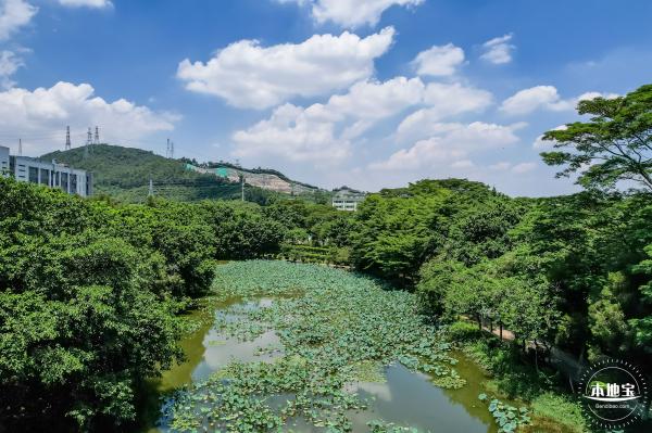 明湖城市公园