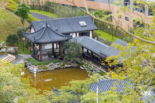玉龙公园