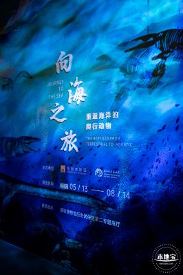 展览：向海之旅