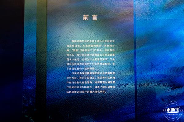 展览：向海之旅