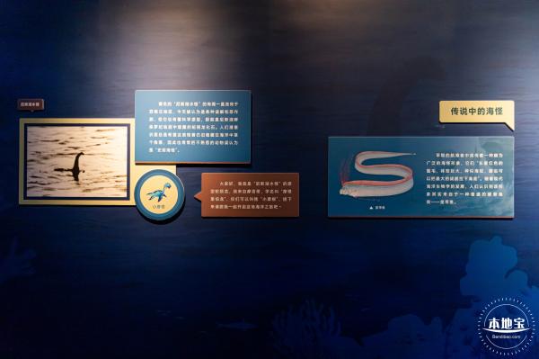 展览：向海之旅