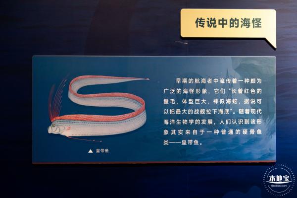 展览：向海之旅