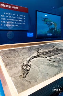 展览：向海之旅