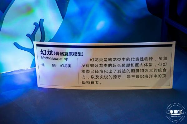 展览：向海之旅